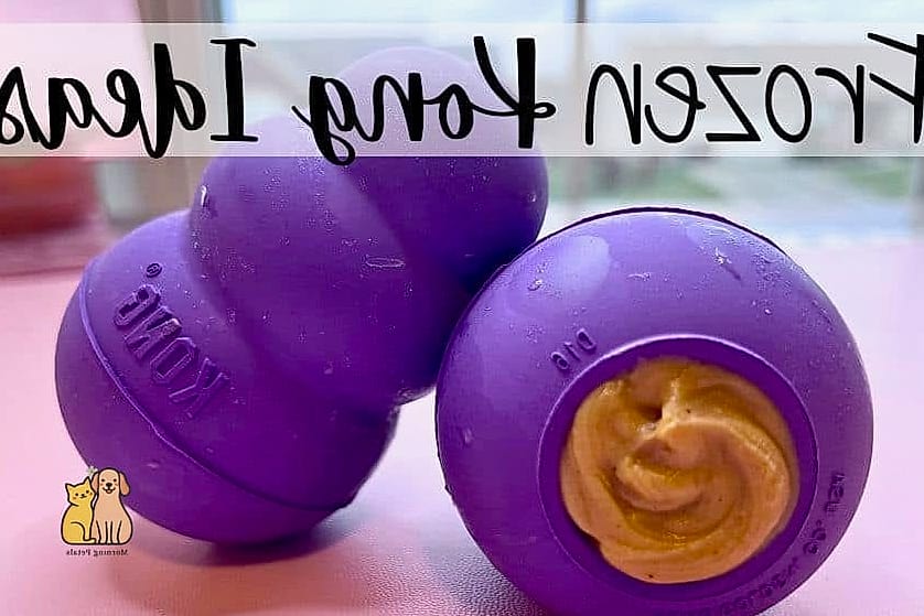 Frozen Kong-Style Chews