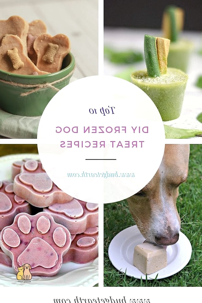 The Frozen Treat Lick Toy