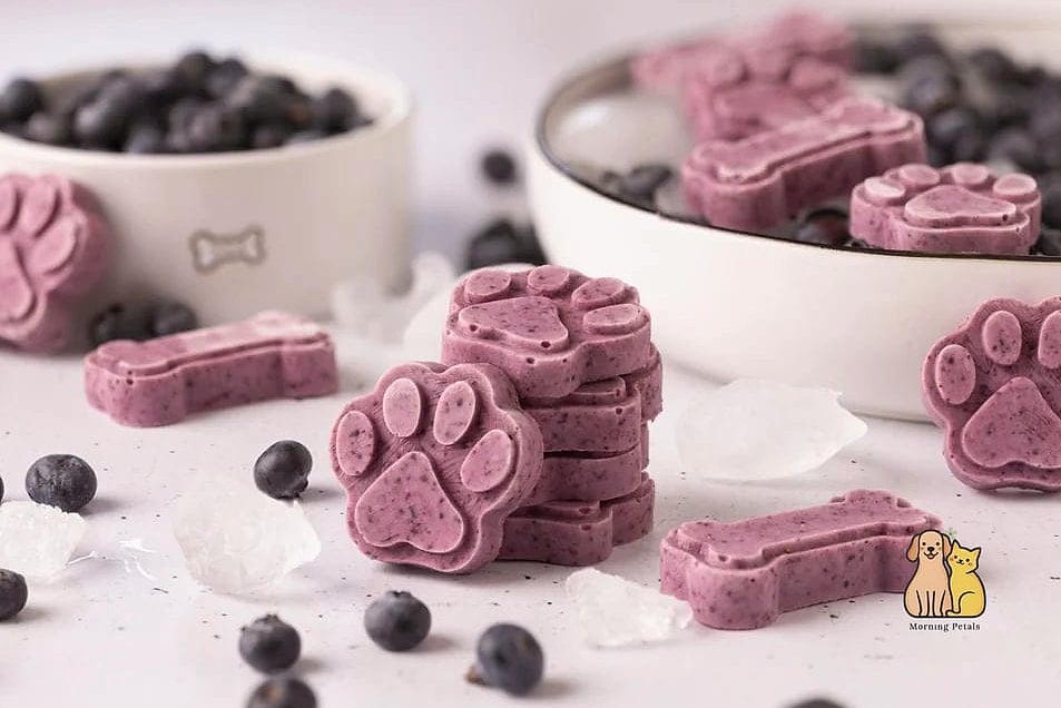 Frozen Yogurt Bites