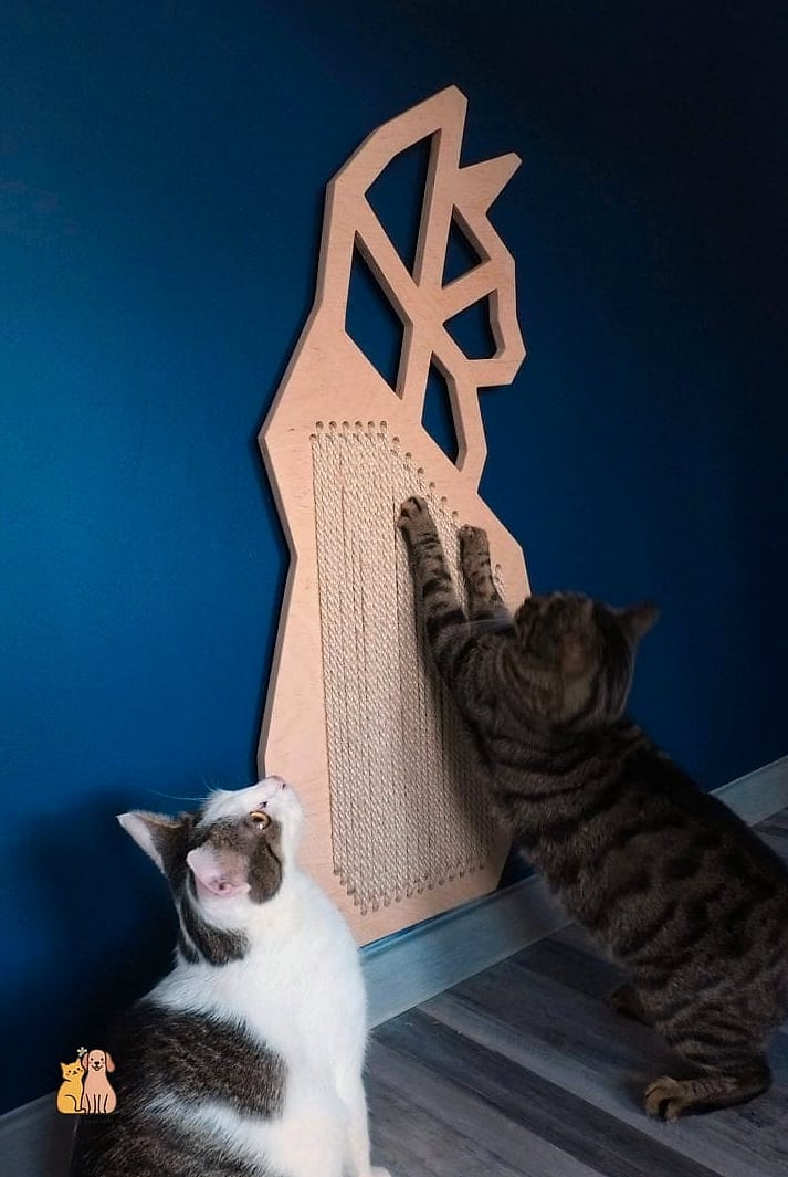 The Geometric A-Line Scratcher