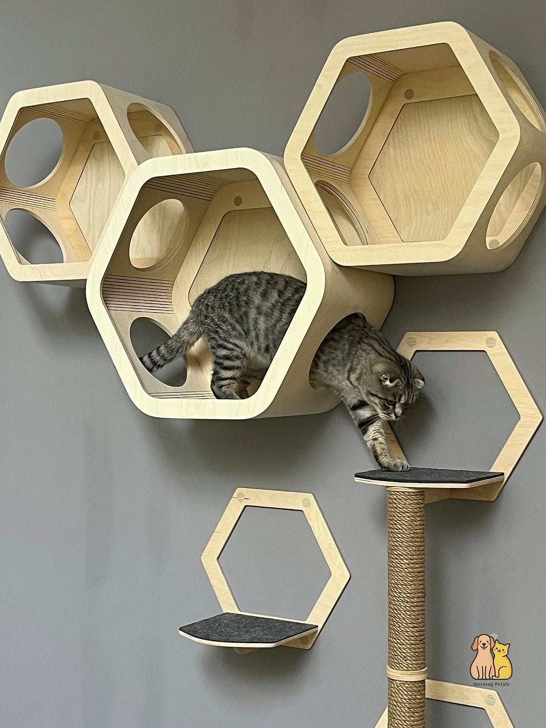 The Geometric Wall-Mounted Cube