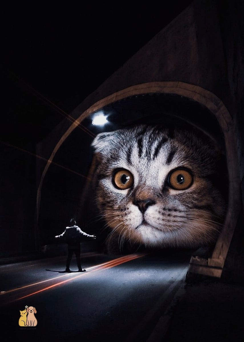 23 Heartwarming Giant Cat Shaped Beds That Will Make Your Day 3 The Giant Cat Face Cave Bed