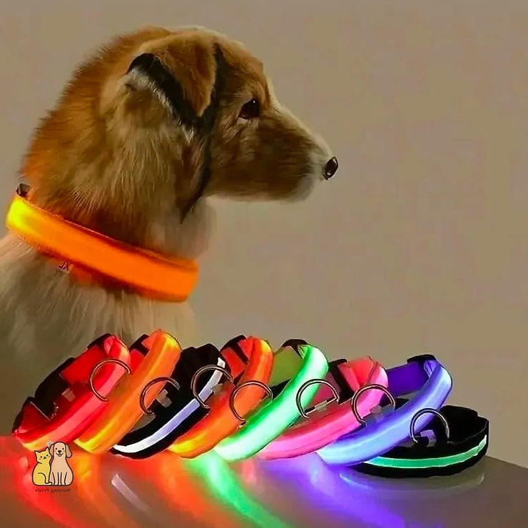 19 Adorable Best Dog Whistles Guaranteed to Make You Smile 6 The Glow-in-the-Dark Whistle