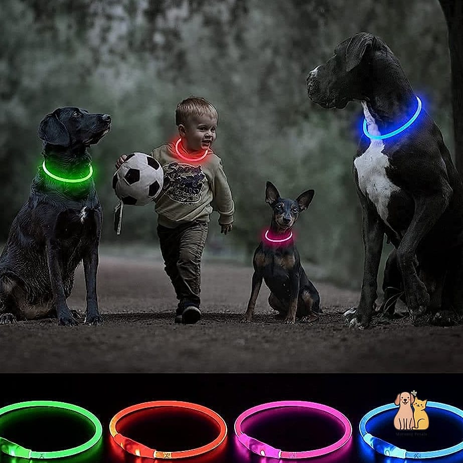 21 Adorable Retractable Dog Leashes That Will Make Your Day 6 The Glow-in-the-Dark Retractable Leash