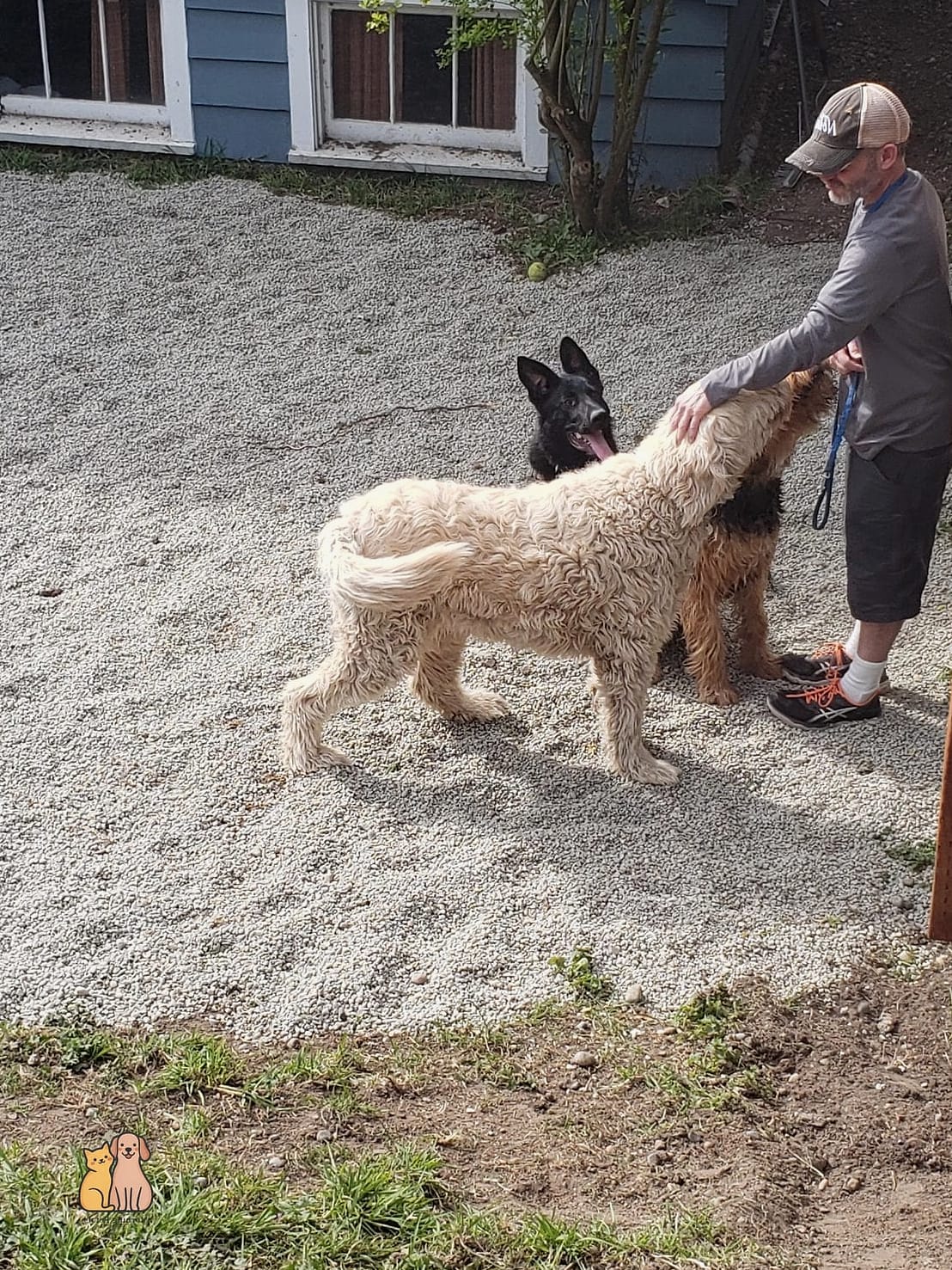 The Gravel Feeding Patch