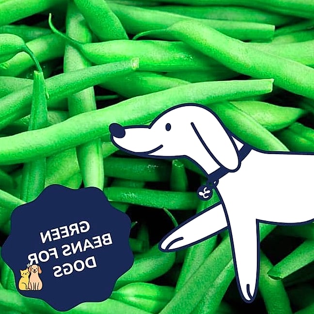 Green Bean Snacks