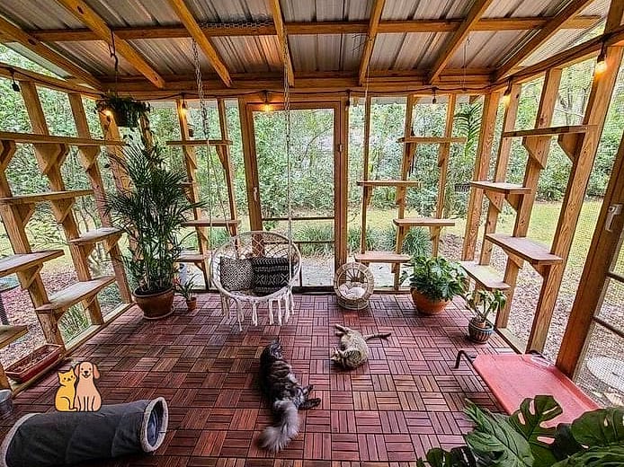The Greenhouse-Style Catio