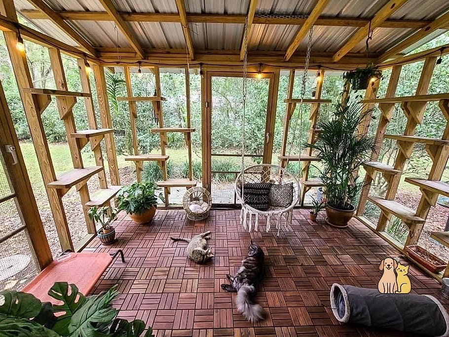The Greenhouse-Style Catio