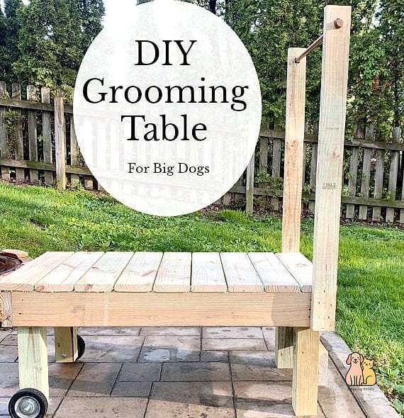The Grooming Table And Wash Combo Station