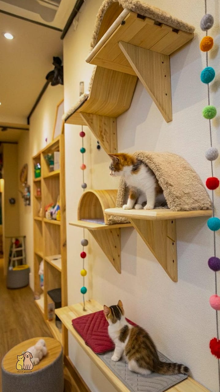 The Hallway Pet Gallery Wall