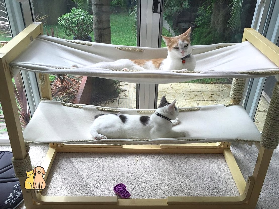 45 Easy Diy Cat Condo to Try Right Now 15 The Hammock Base Condo