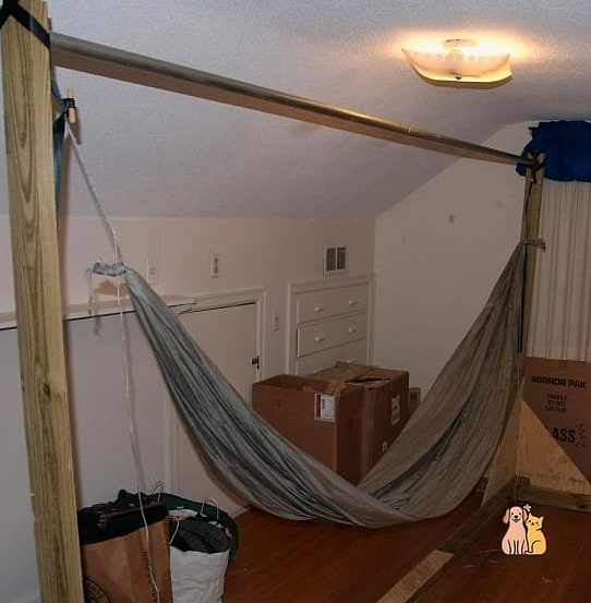 The Hammock Bridge