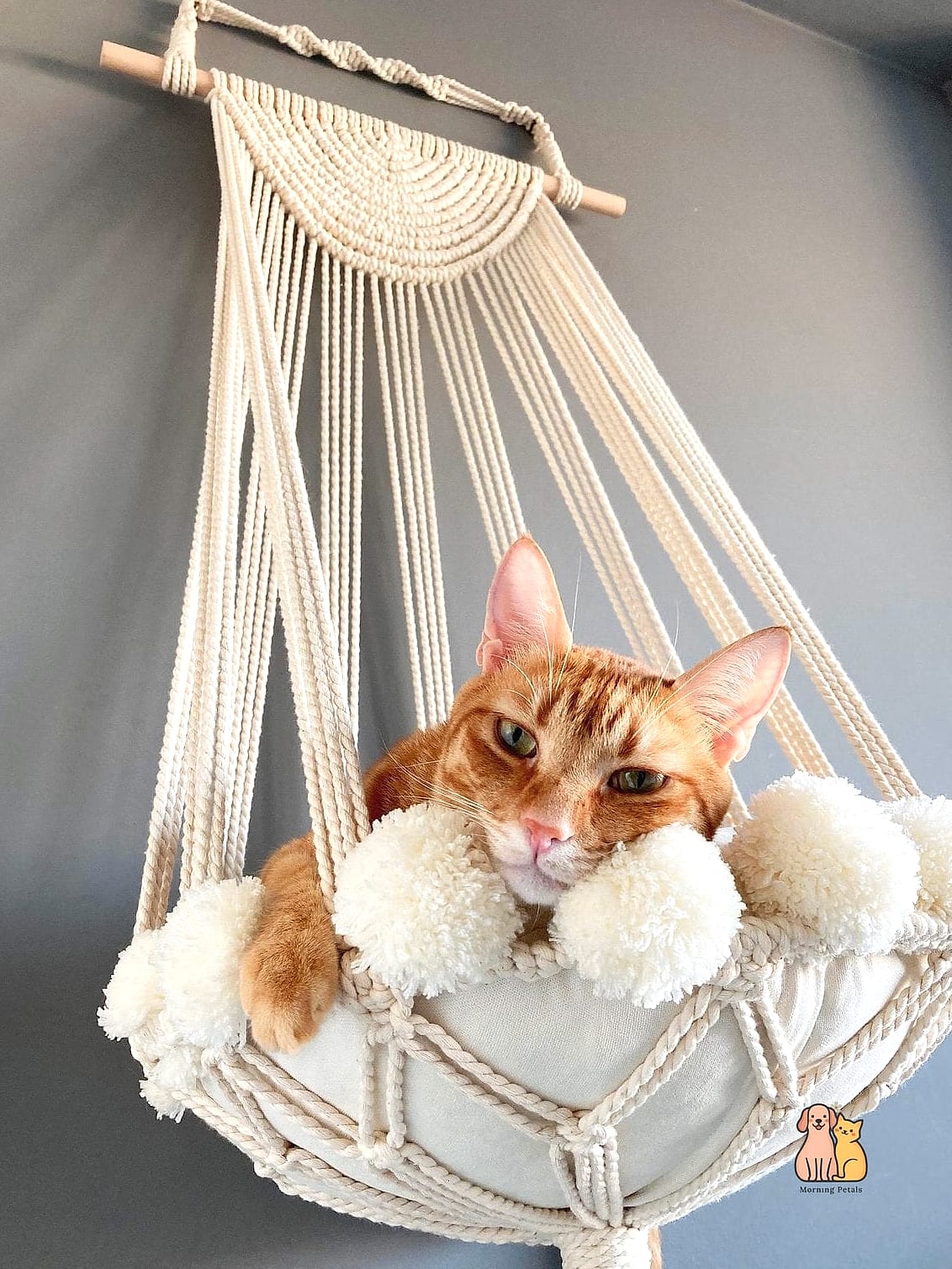 The Hammock Lounge Tree