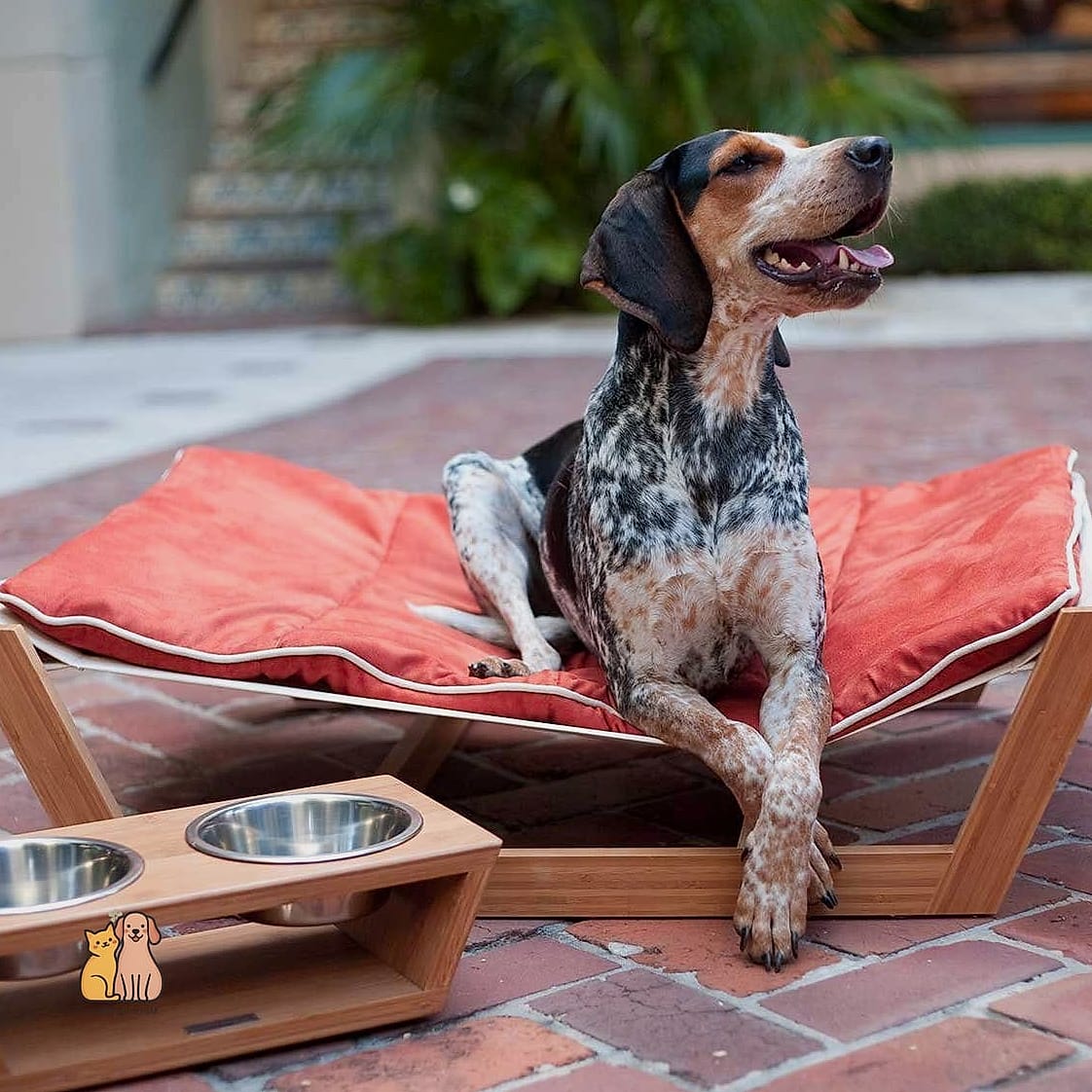 20 Clever Dog Corner Ideas That Are Totally Worth It 11 The Hammock-Style Corner Bed