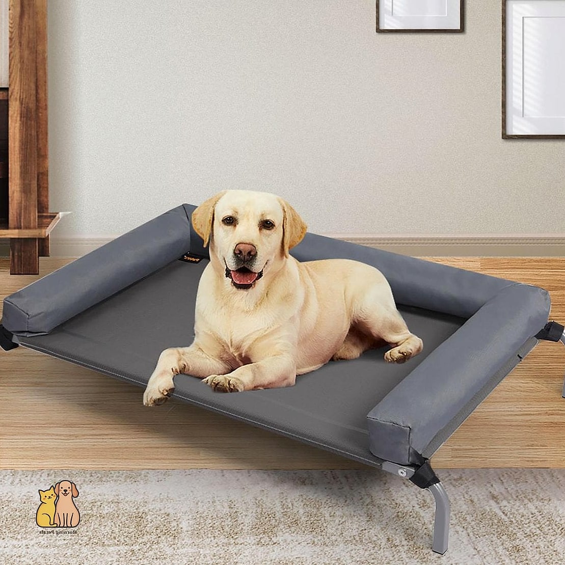 The Hammock-Style Elevated Bed