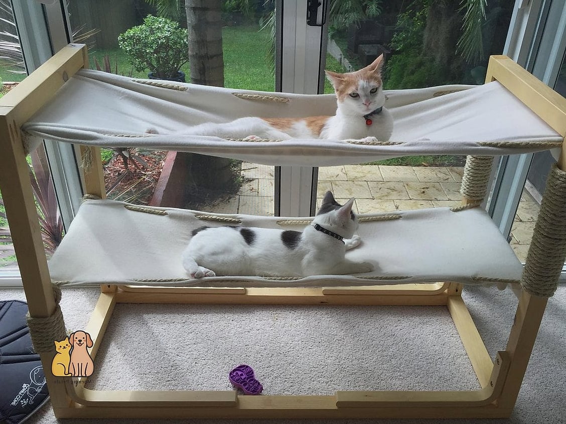 The Hammock Under a Chair
