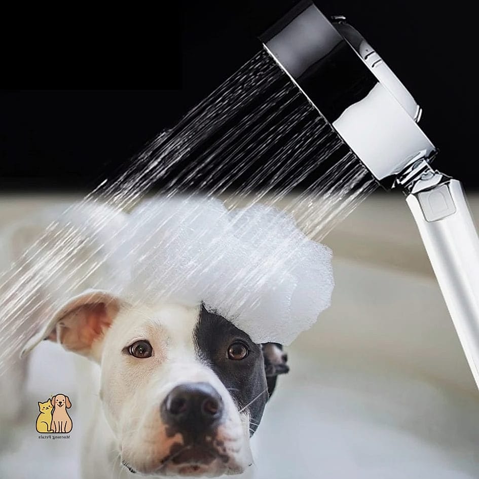 24 Precious Dog Shower In Laundry Room That Will Restore Your Faith in the World 5 The Handheld Sprayer Nook