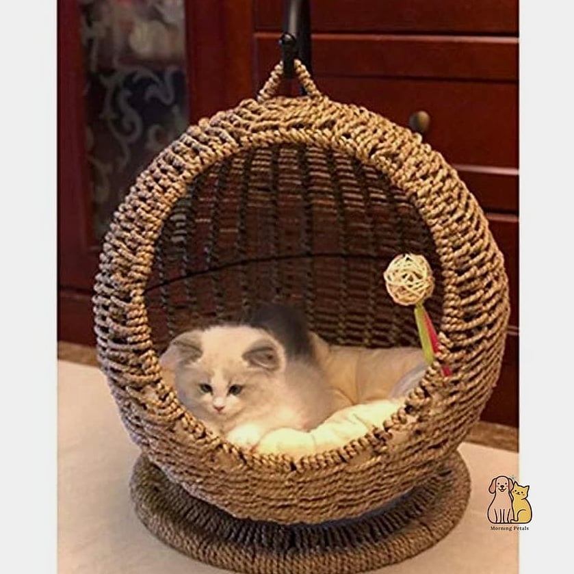 The Hanging Basket Bed for Cat Trees