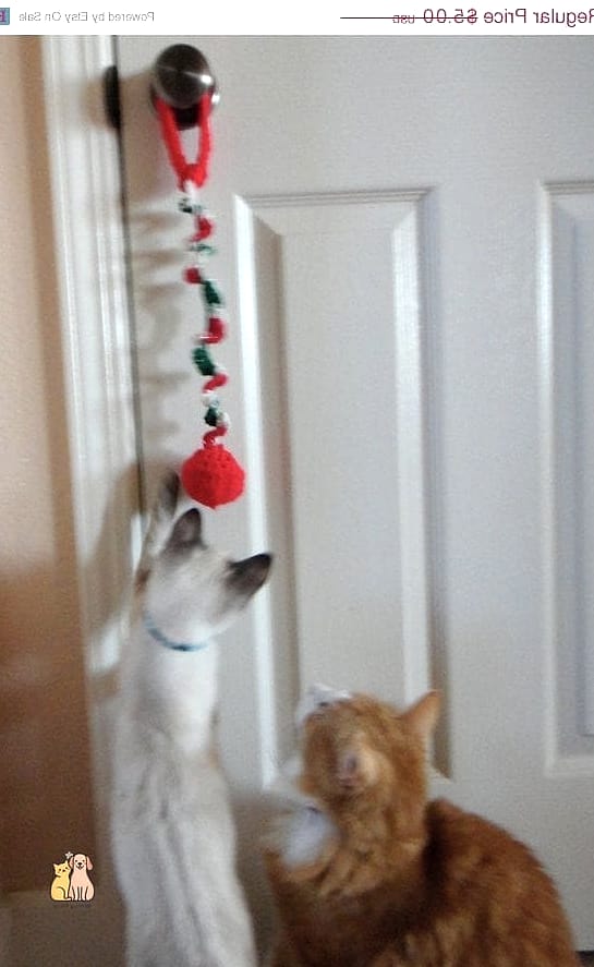 Hanging Door Toy