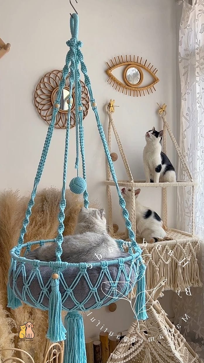 The Hanging Hammock Perch