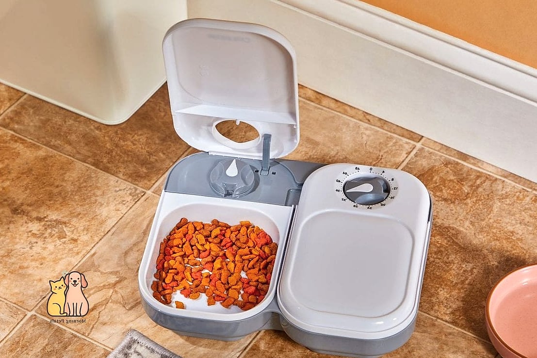 50 Budget-friendly Cat Food Station Ideas Your Pet Will Beg For More 45 The Hanging Macrame Shelf