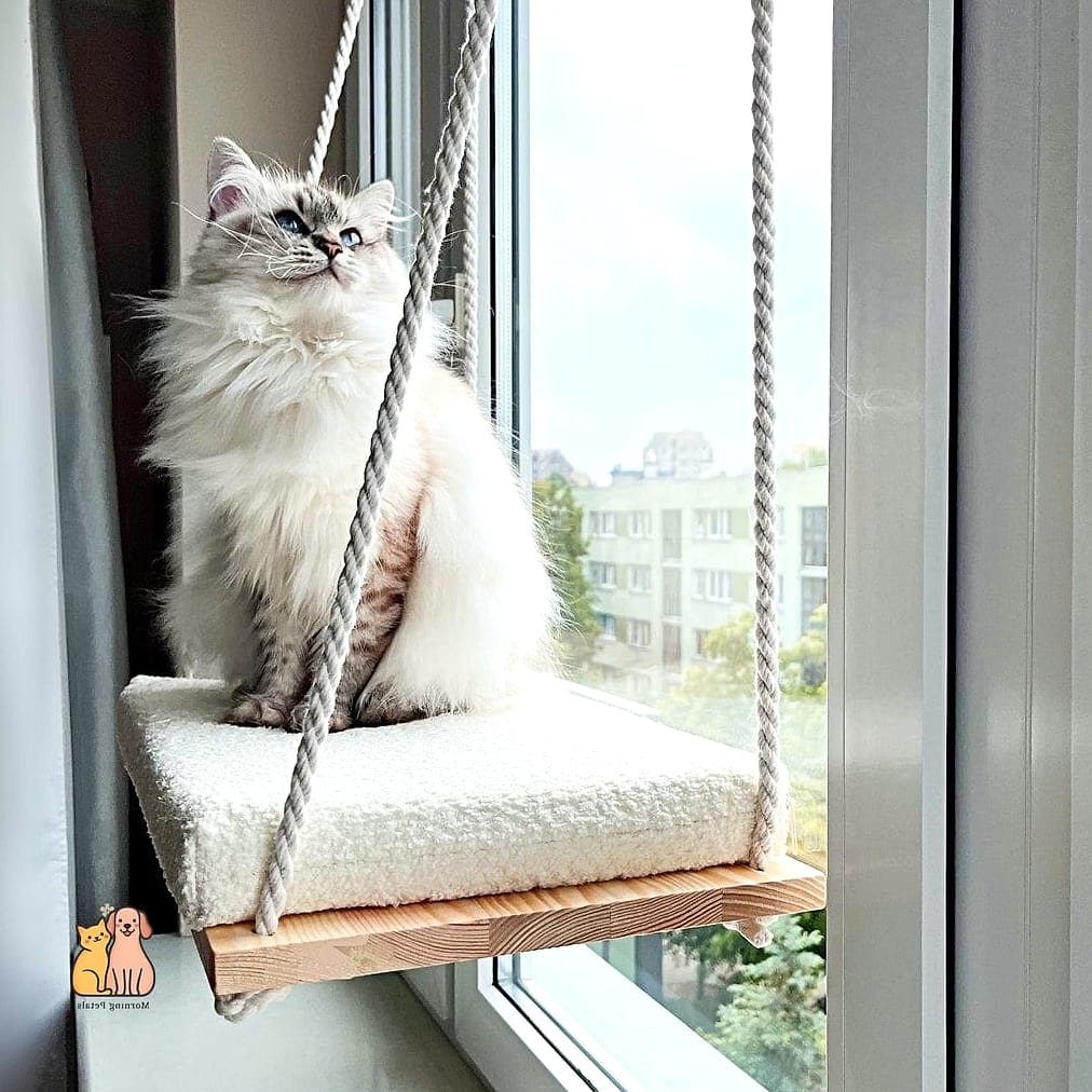 The Hanging Window Pod
