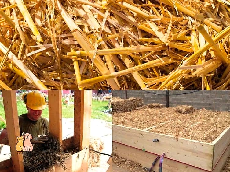 15 Genius Diy Insulated Cat House Worth Pinning Immediately 6 The Hay Bale Igloo