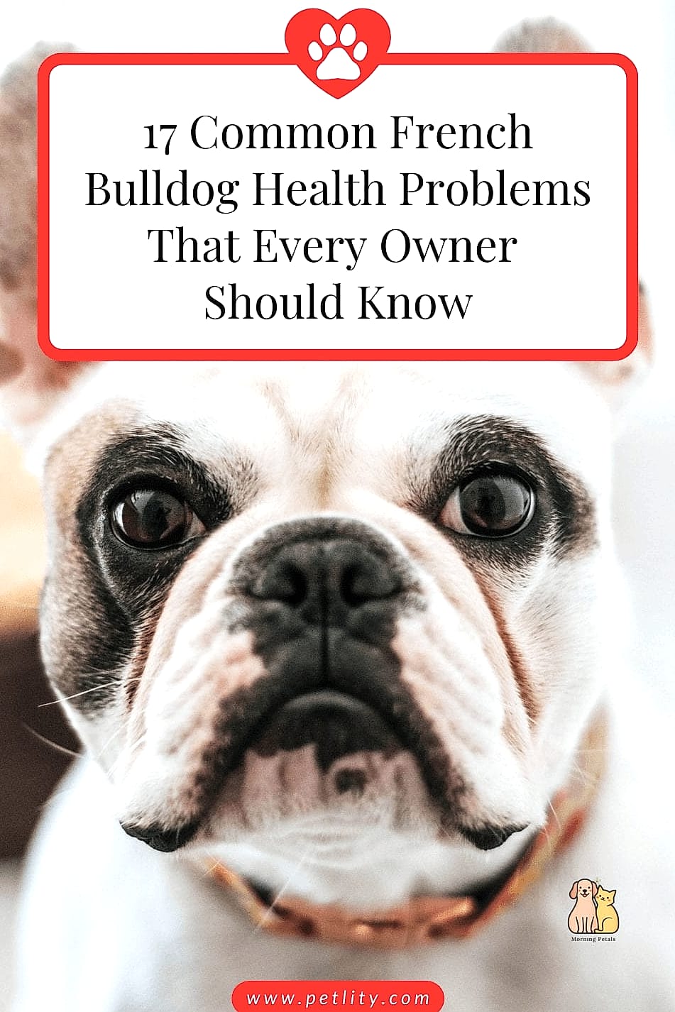 Health Considerations