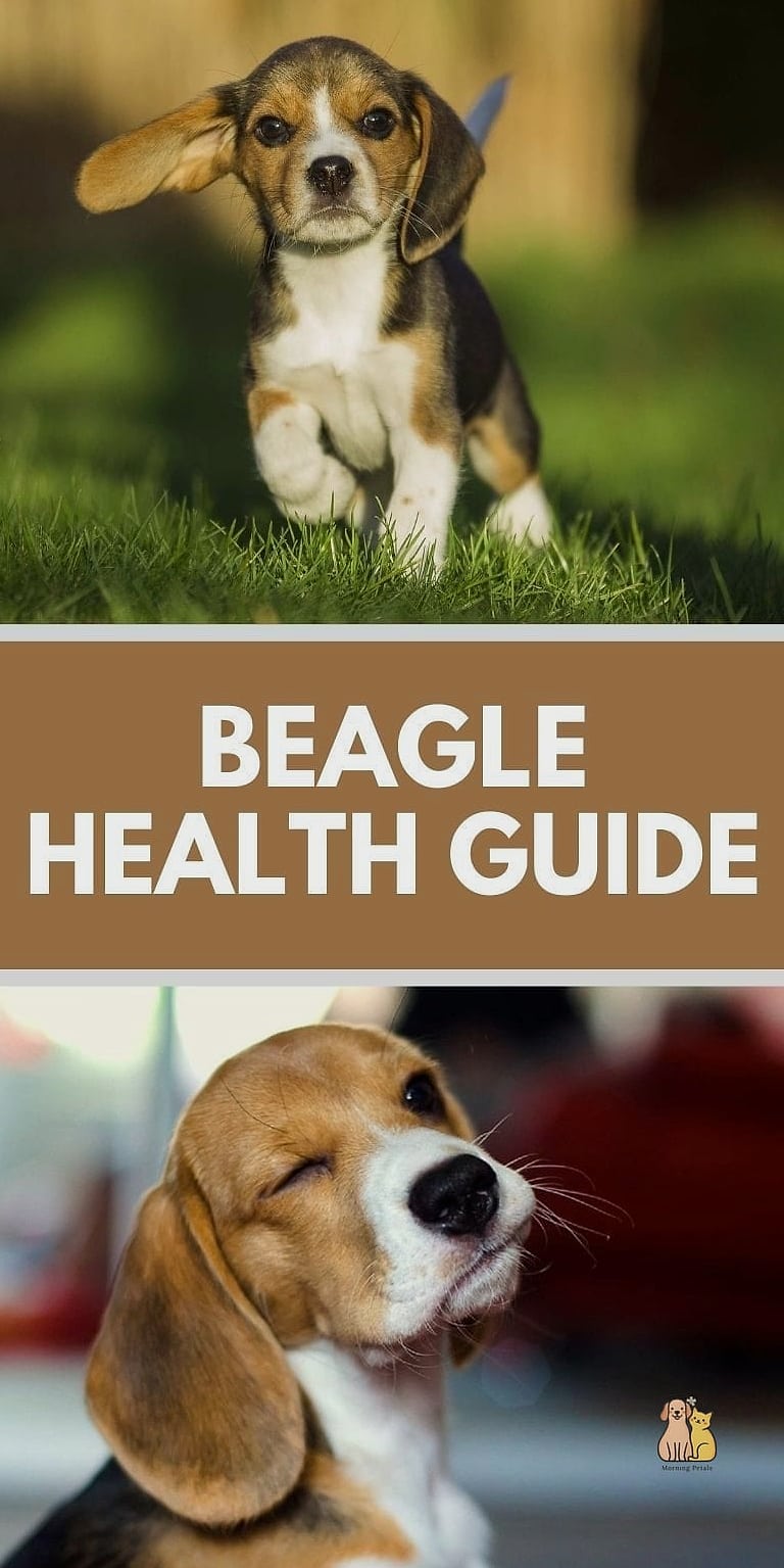 Health Considerations
