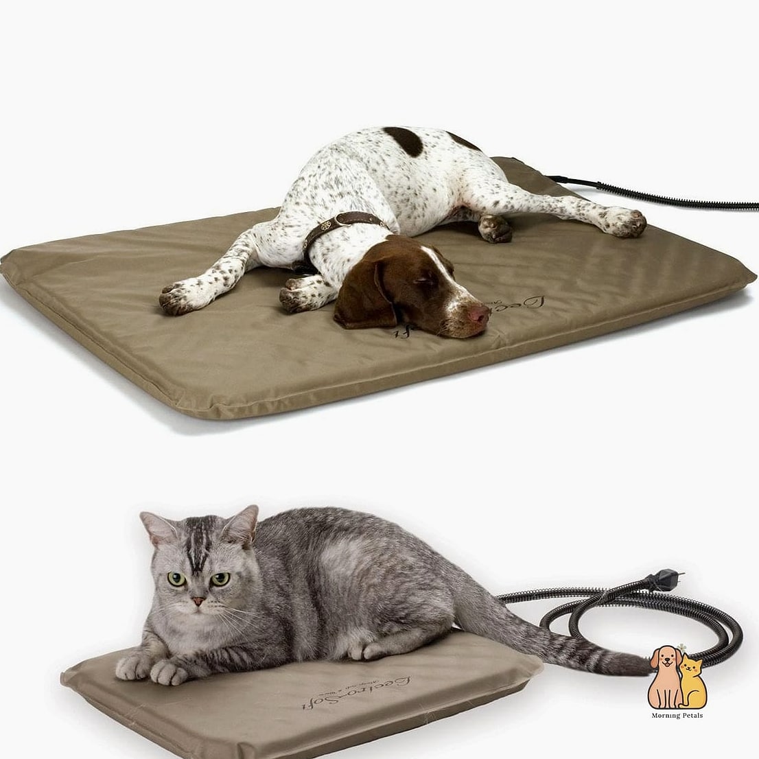 The Heated Bed Nook for Senior Dogs