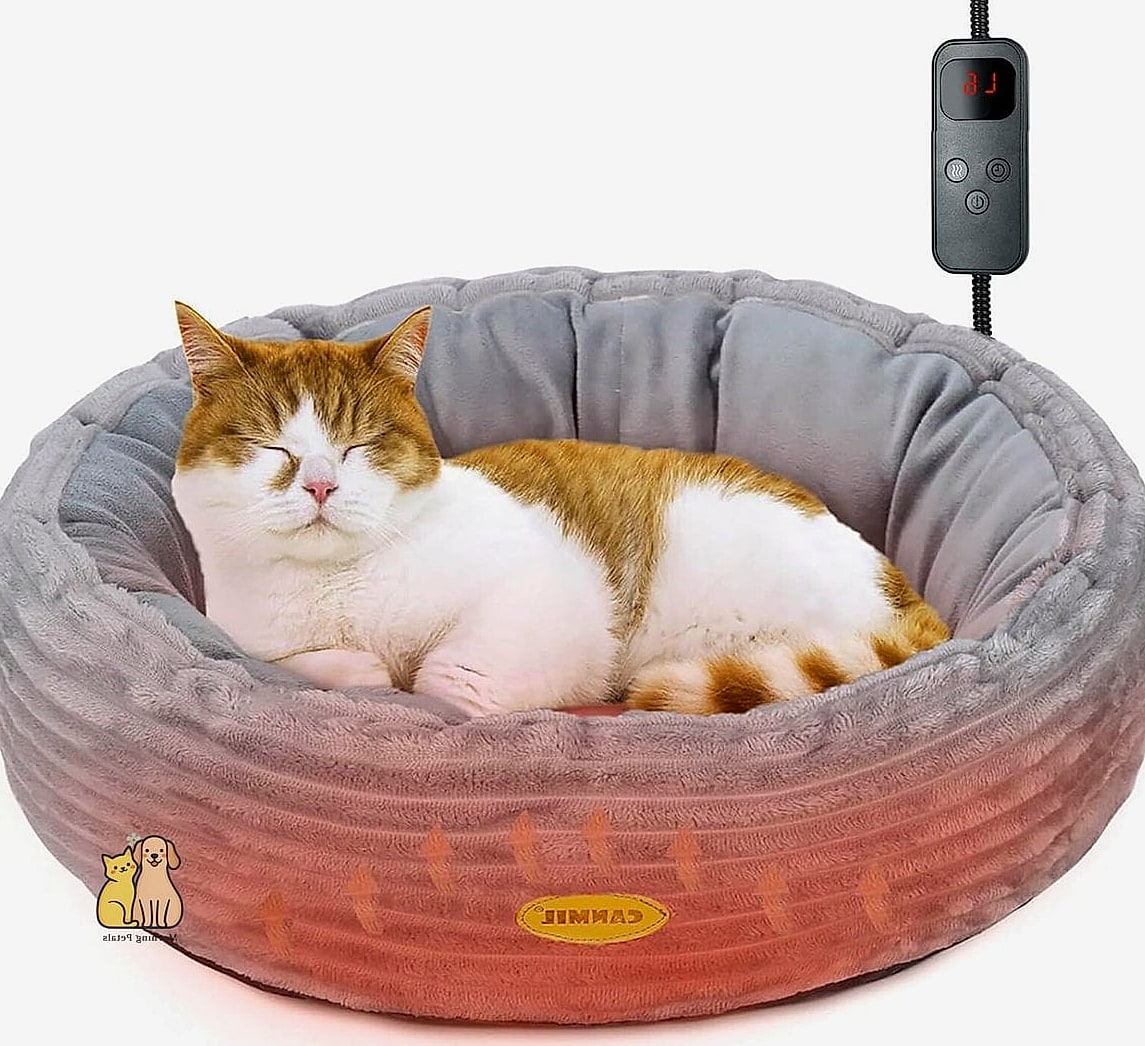 The Heated Bed with Raised Bolster Edges