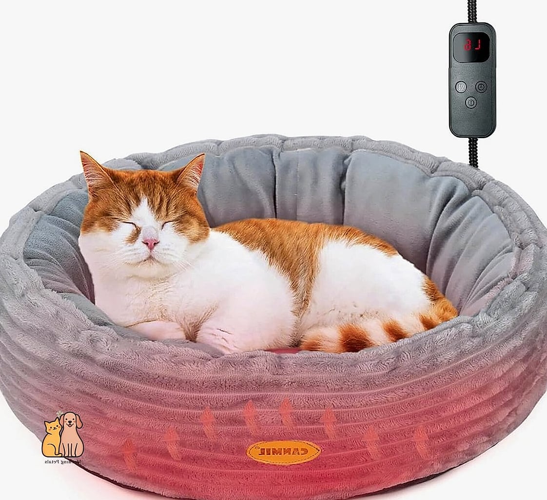 The Heated Bed with Anti-Anxiety Design