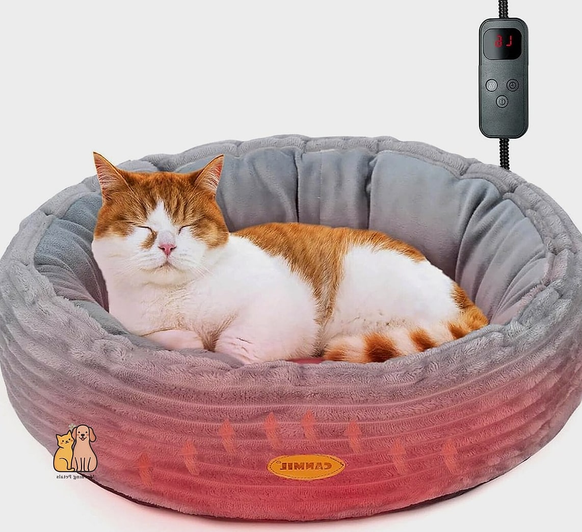 The Heated Bed with Adjustable Temperature Settings