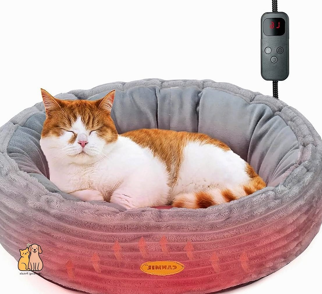 The Heated Bed Made from Recycled Materials
