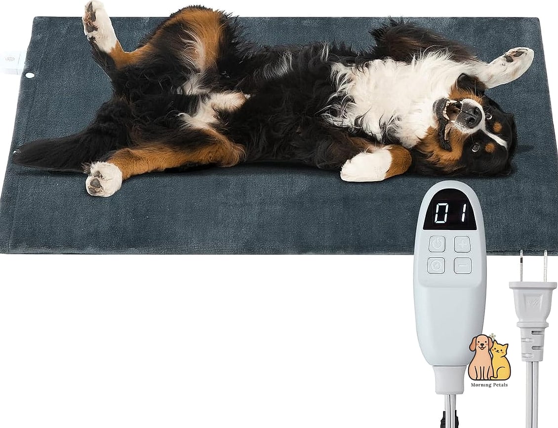 The Heated Car Bed for Cold Climates