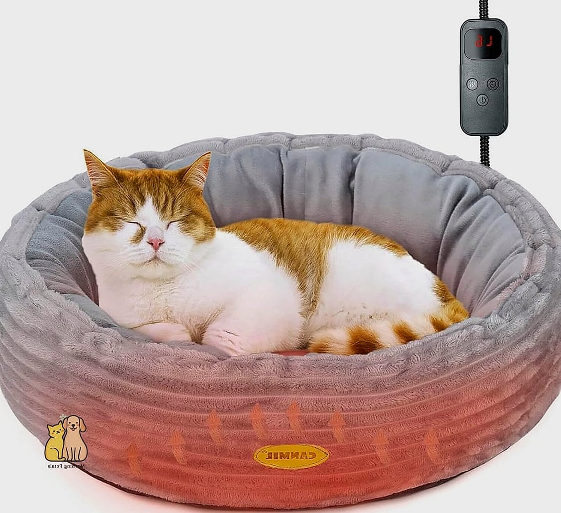 The Heated Cat Bed with Timer Function