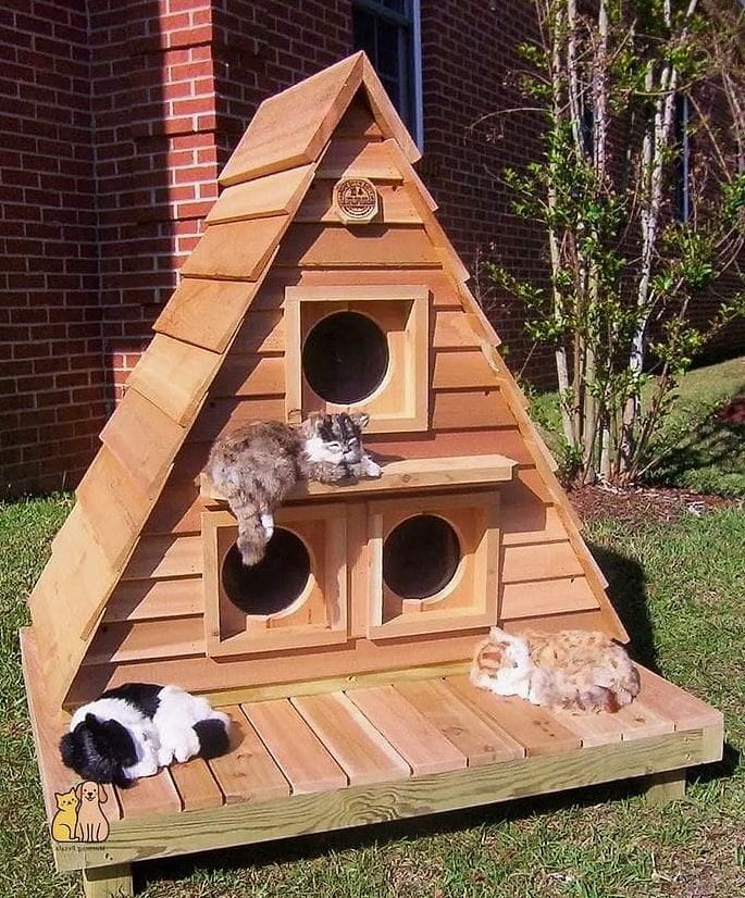 Heated Cat Shelter for Ferals