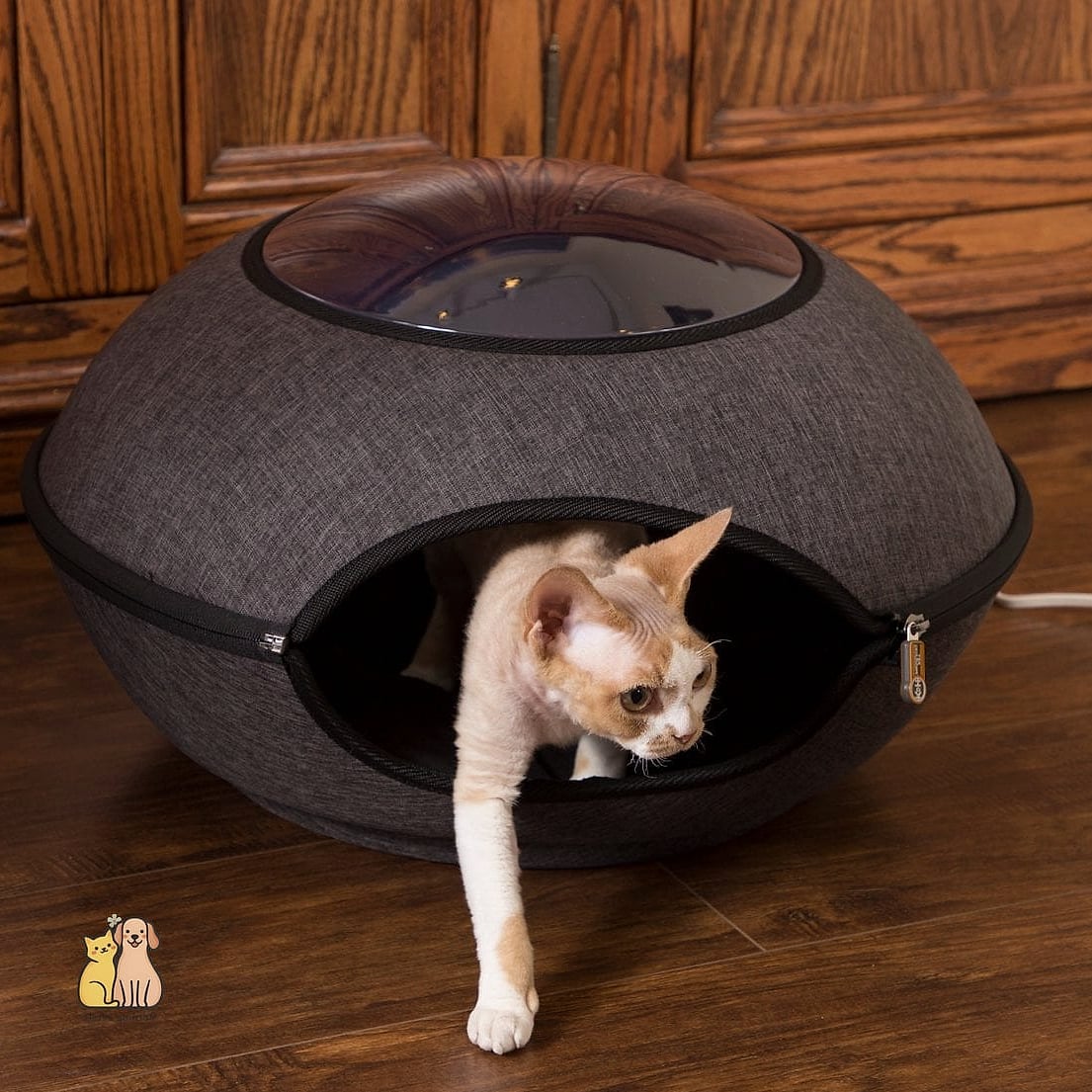 Heated Hanging Cat Bed
