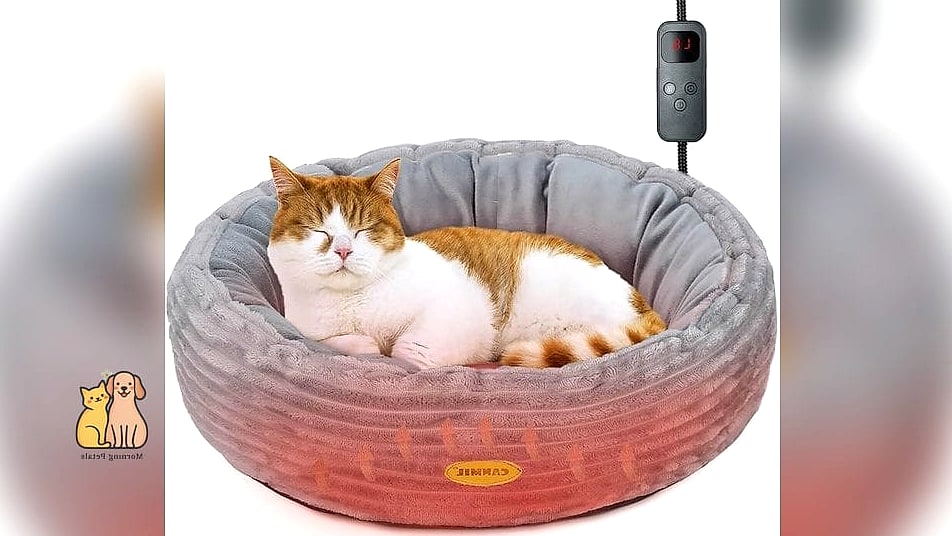 The Heated Self-Warming Cat Bed
