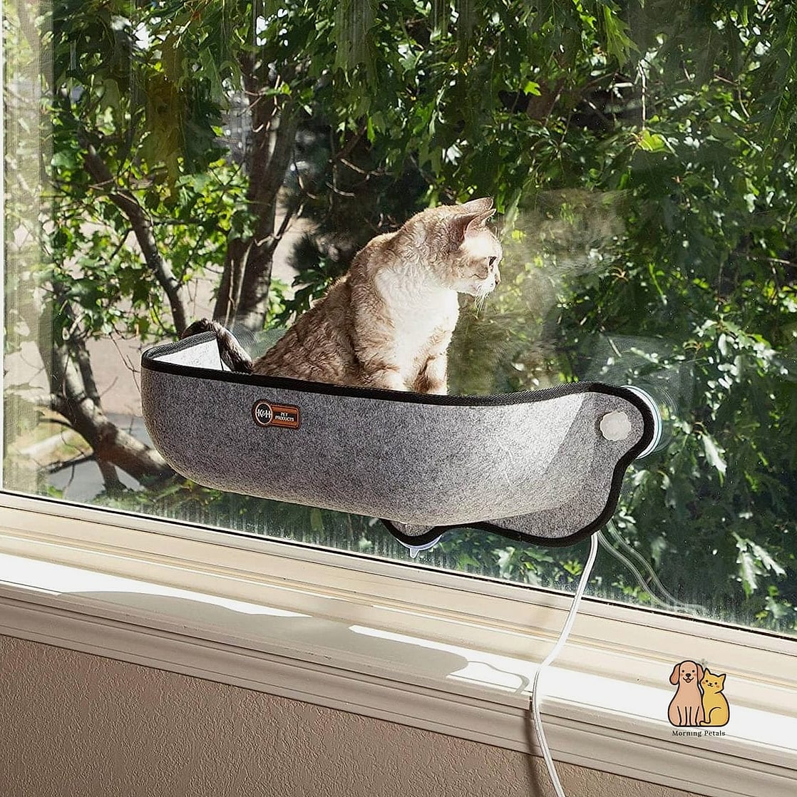 The Heated Window Perch