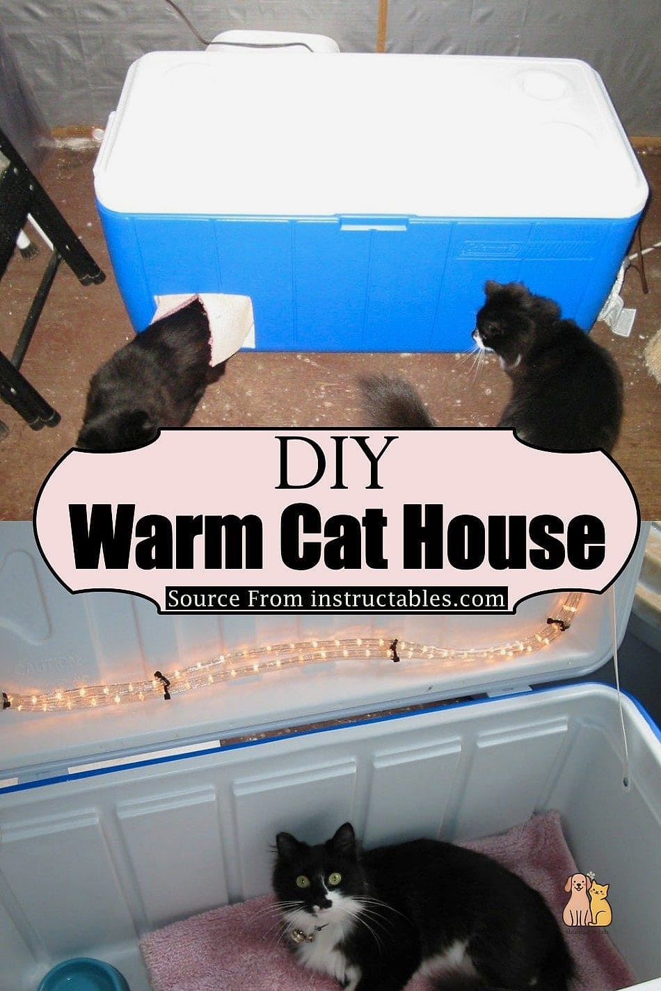 Heated Winter Den