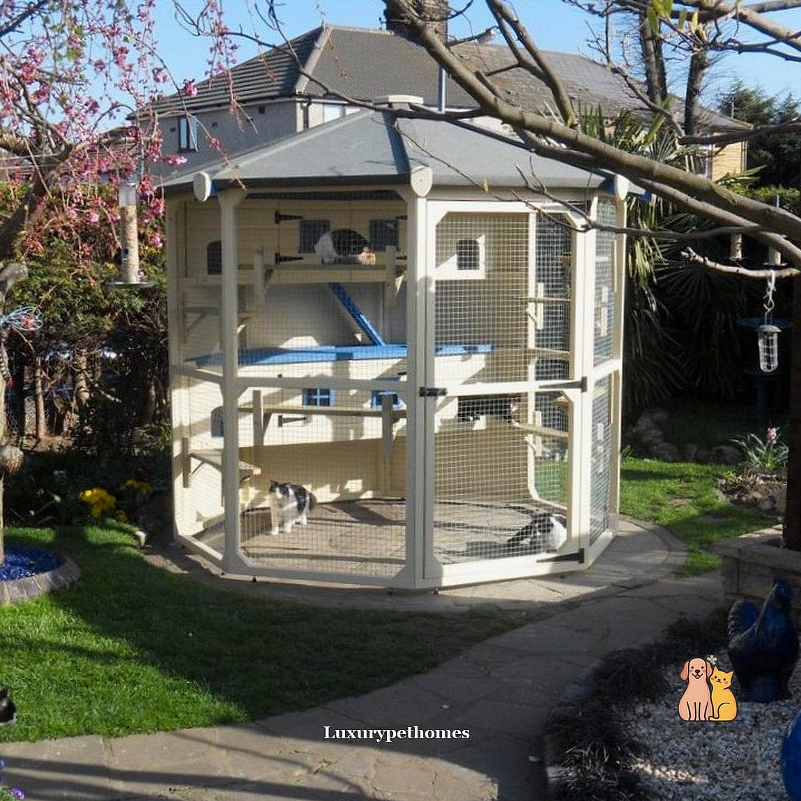 The Hexagon Garden Catio