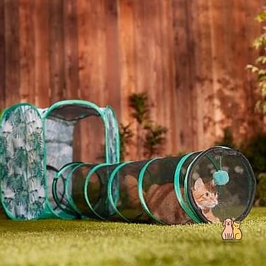 The Hexagon Mesh Dome