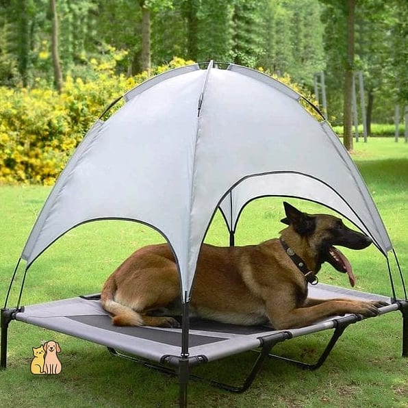The Hidden Canopy Dog Bed Corner