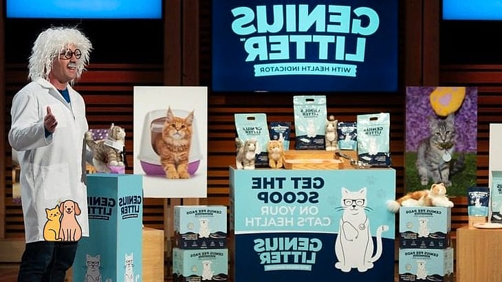 The Hidden Litter Box Climbing Tower