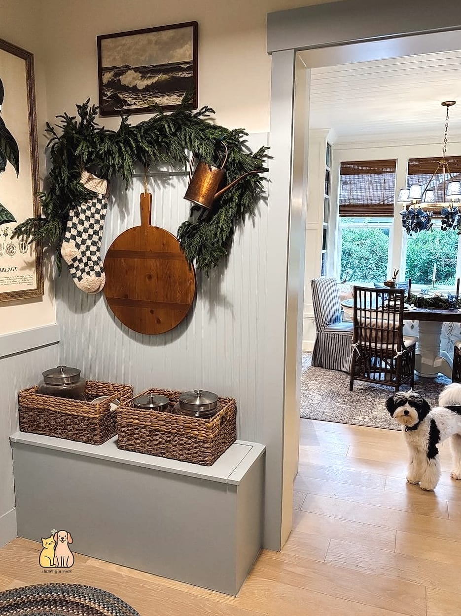 Hidden Pantry-Style Feeding Area
