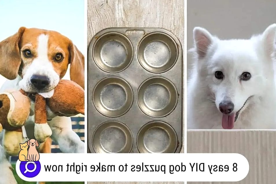 The Homemade Puzzle Tray
