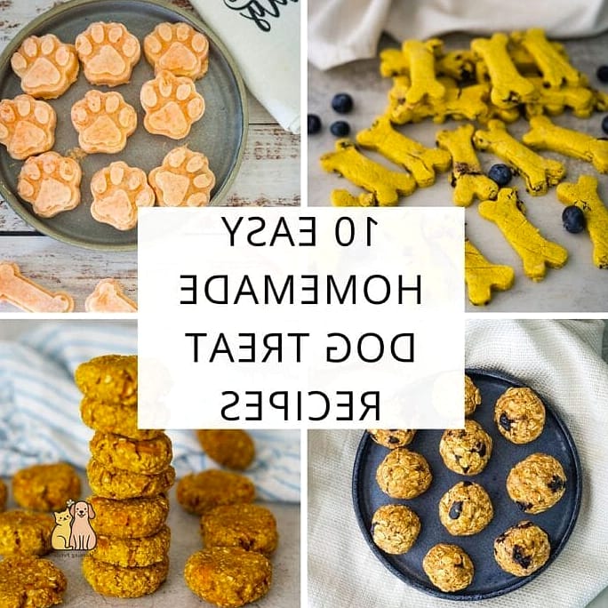 The Homemade Treat Puzzle Bottle