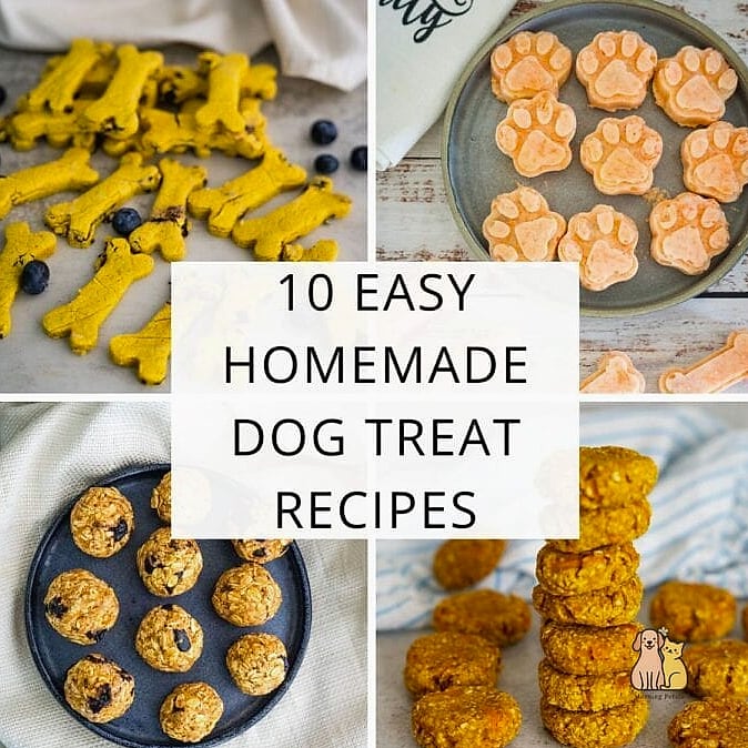 The Homemade Treat Blanket