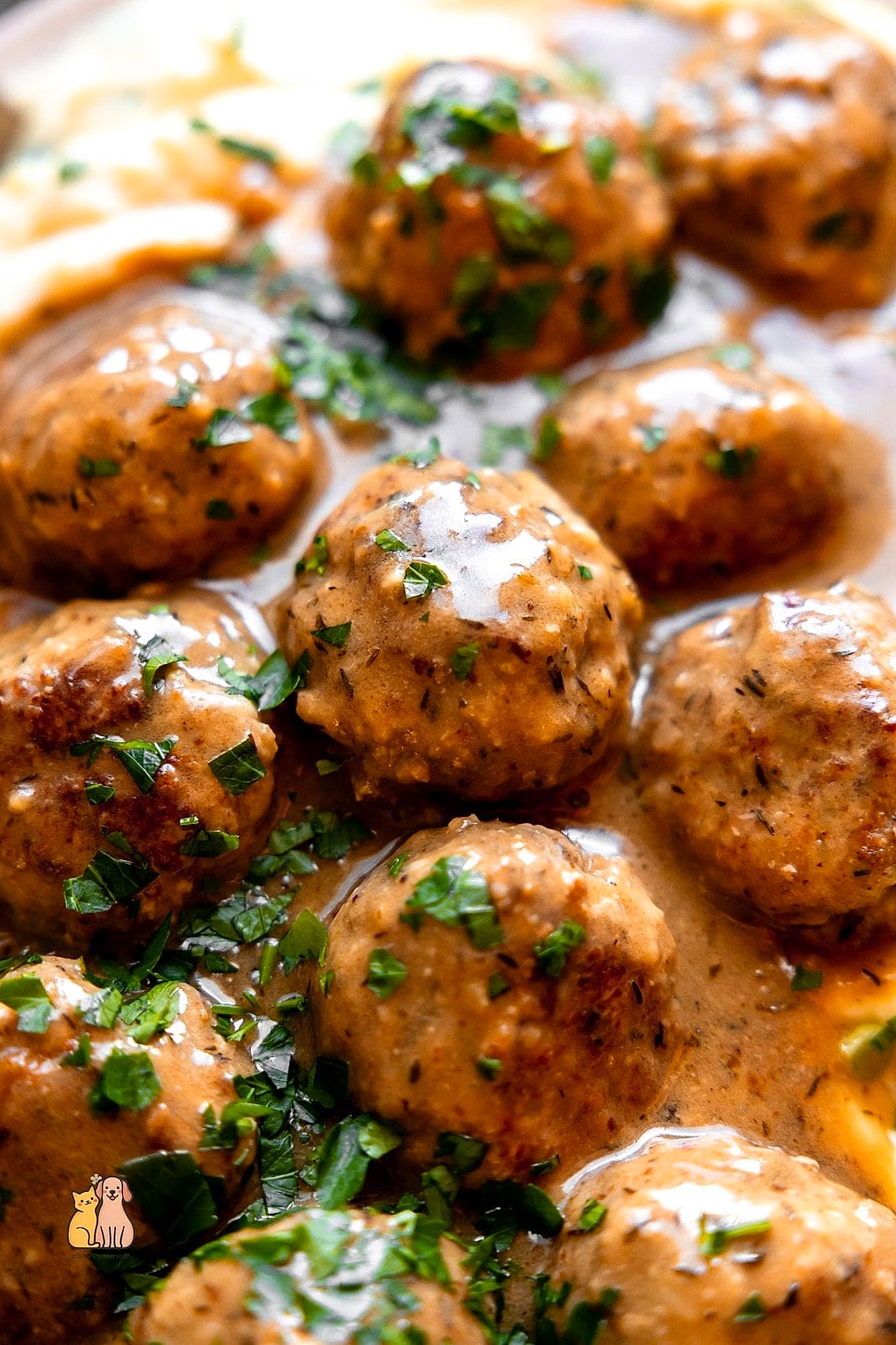 19 Budget-friendly Homemade Dog Meals That Are Totally Worth It 10 Homemade Turkey Meatballs for Dogs